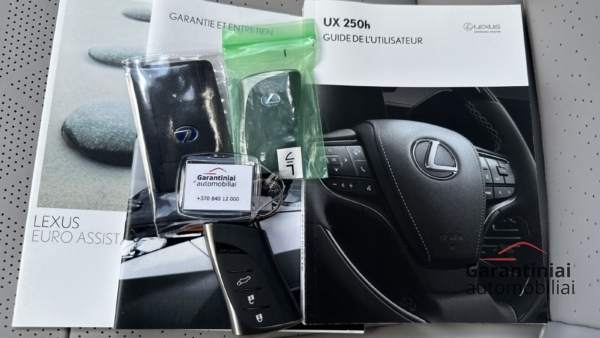 Lexus UX 250h 2.0 Luxury 2022 m. 36