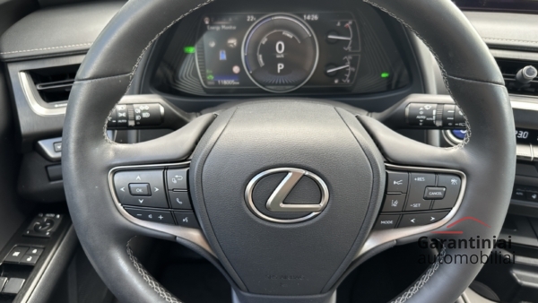 Lexus UX 250h 2.0 Luxury 2022 m. 6