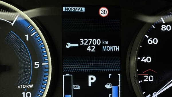 Mitsubishi Eclipse Cross 2,4 PHEV 4WD 2023 m. Įkraunamas hibridas. 8
