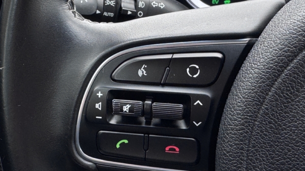Kia Niro 1.6 Plug-in Hybrid Spirit EX 2018 m. Įkraunamas hibridas 15