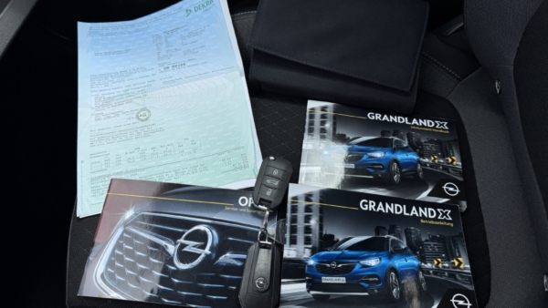 Opel Grandland X 1.5 CDTi Business Edition 2021 m. 29