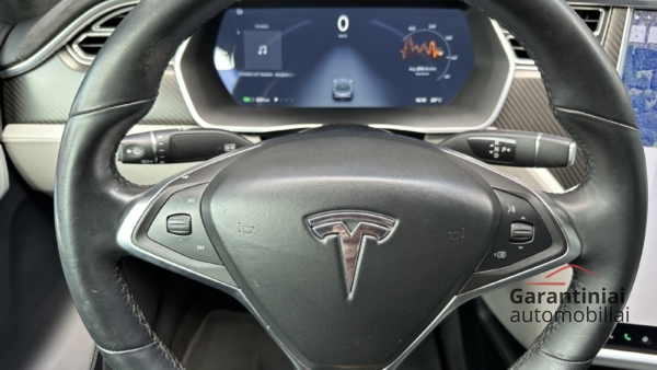 Tesla Model S P90D 2016 m. 6
