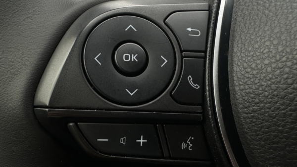 Toyota RAV4 2,5 Hybrid Premium 2021 m. 9
