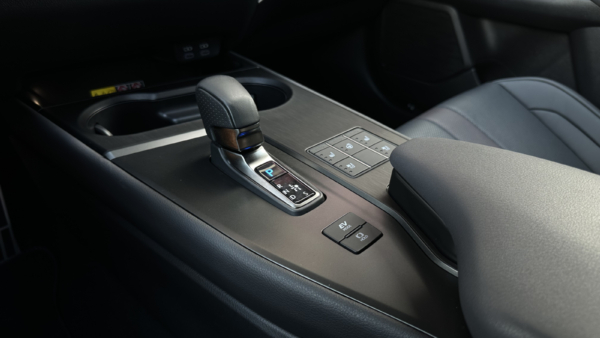 Lexus UX 300h 2.0 F-Sport AWD 2024 m. 26
