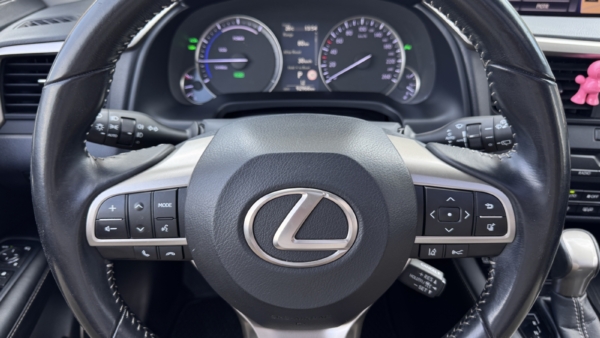 Lexus RX 450h 3.5 Hybrid AWD Executive 2017 m. 14