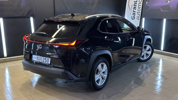 Lexus UX 250h 2.0 Business 2023 m. 2