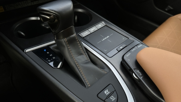 Lexus UX 250h 2.0 Executive 2020 m. 22