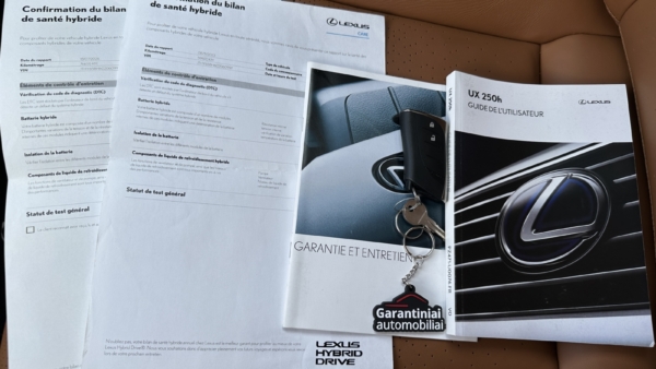 Lexus UX 250h 2.0 Executive 2020 m. 29