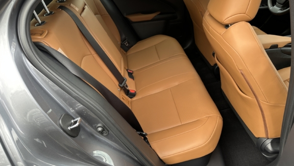 Lexus UX 250h 2.0 Executive 2020 m. 5