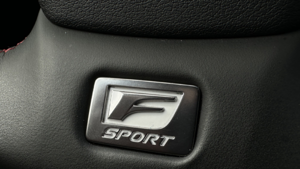 Lexus UX 300h 2.0 F-Sport AWD 2024 m. 14