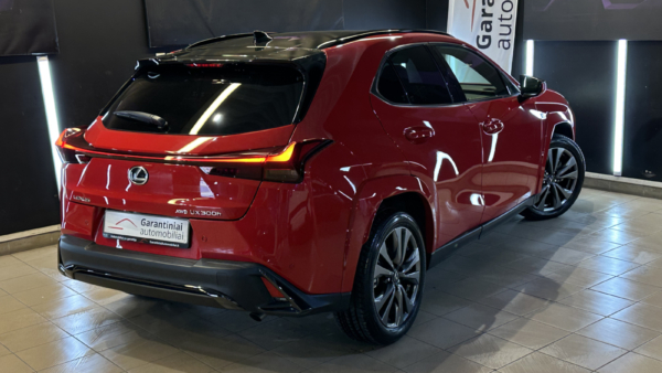 Lexus UX 300h 2.0 F-Sport AWD 2024 m. 2
