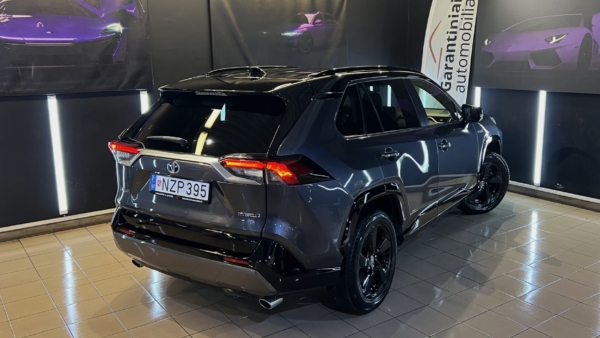 Toyota RAV4 2.5 Hybrid Style 2019 m. 2
