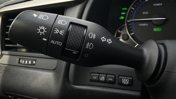 Lexus RX 450h 3.5 Hybrid AWD Luxury 2018 m. 12