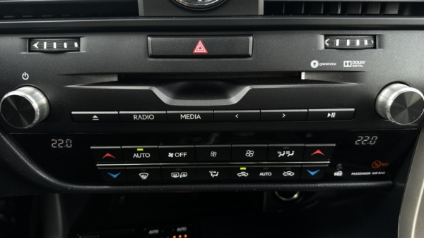 Lexus RX 450h 3.5 Hybrid AWD Luxury 2018 m. 19