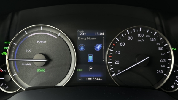 Lexus RX 450h 3.5 Hybrid AWD Luxury 2018 m. 7