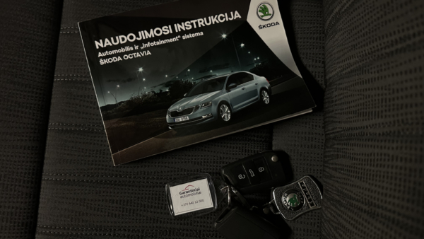 Skoda Octavia 1.5 TSI Style Plus 2019 m. 27
