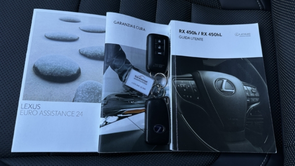 Lexus RX 450h 3.5 Hybrid AWD F-Sport 2021 m. 39