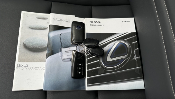 Lexus NX300h 2.5 Business AWD 2021 m. 29