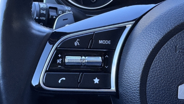 Kia Ceed 1,5 LX Plius 2023 m. 13