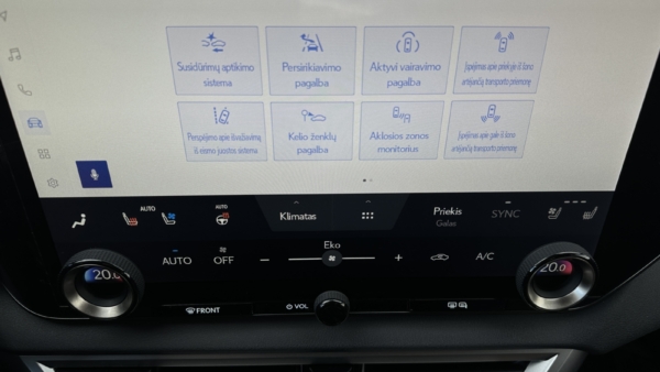 Lexus RX 450h+ 2.5 Hybrid Executive 2024 m. Plug-In 17