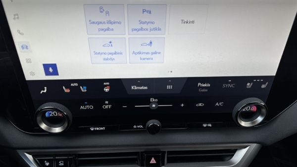 Lexus RX 450h+ 2.5 Hybrid Executive 2024 m. Plug-In 18