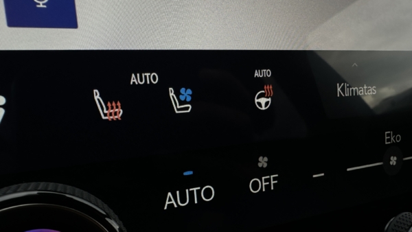 Lexus RX 450h+ 2.5 Hybrid Executive 2024 m. Plug-In 20