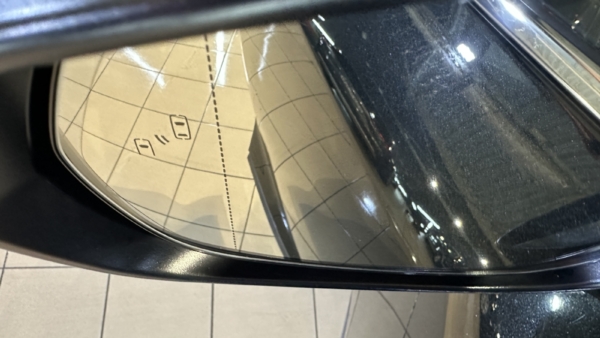 Lexus RX 450h+ 2.5 Hybrid Executive 2024 m. Plug-In 36