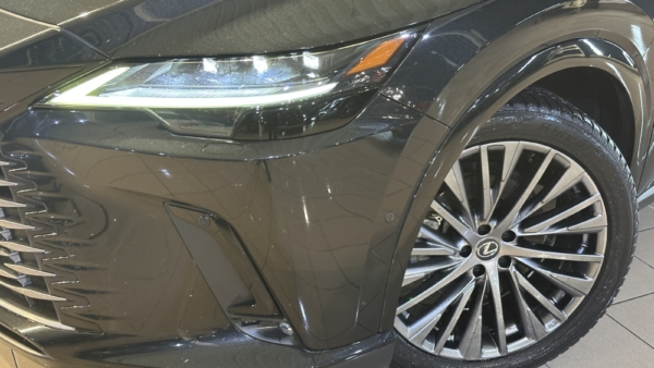 Lexus RX 450h+ 2.5 Hybrid Executive 2024 m. Plug-In 38