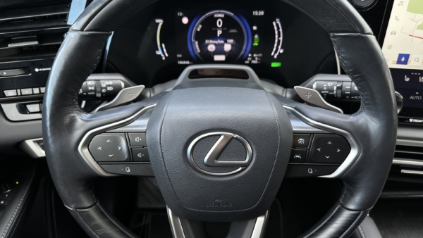 Lexus RX 450h+ 2.5 Hybrid Executive 2024 m. Plug-In 6