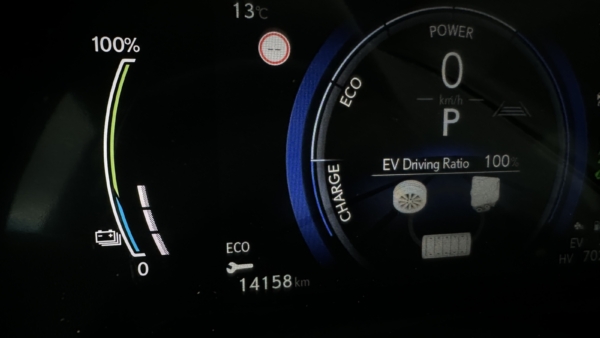 Lexus RX 450h+ 2.5 Hybrid Executive 2024 m. Plug-In 8