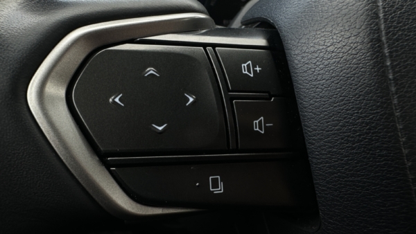 Lexus RX 450h+ 2.5 Hybrid Executive 2024 m. Plug-In 9