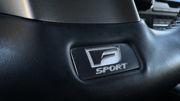 Lexus RX 450h 3.5 Hybrid AWD F-Sport 2021 m. 16