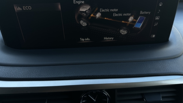 Lexus RX 450h 3.5 Hybrid AWD F-Sport 2021 m. 20