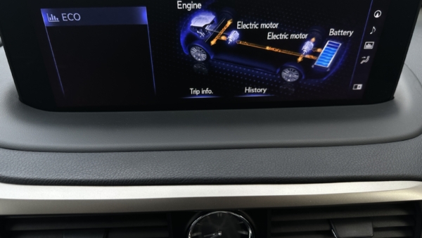 Lexus RX 450hL 3.5 Hybrid AWD Executive 2020 m. 20