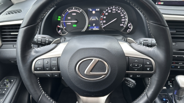Lexus RX 450hL 3.5 Hybrid AWD Executive 2020 m. 7