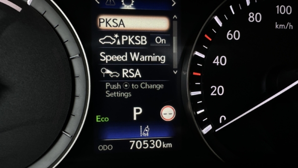 Lexus RX 450hL 3.5 Hybrid AWD Executive 2020 m. 10