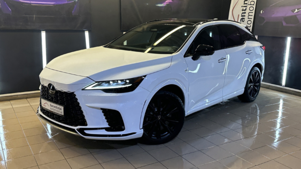 Lexus RX 500h 2.4 F-Sport DIRECT4 AWD 2024 m. 1