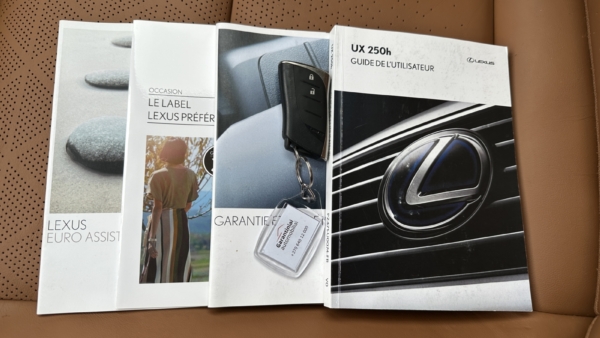 Lexus UX 250h 2.0 Executive 2020 m. 33