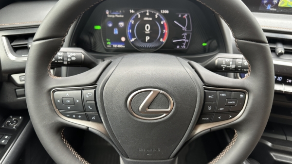 Lexus UX 250h 2.0 Executive 2020 m. 6