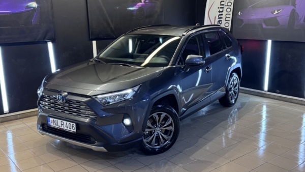 Toyota RAV4 2,5 Hybrid Luxury Limited AWD 2025 m. 1