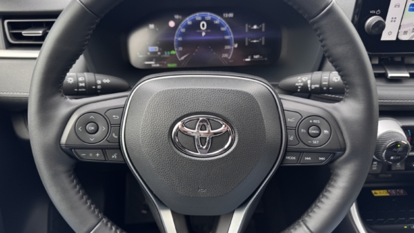 Toyota RAV4 2,5 Hybrid Luxury Limited AWD 2025 m. 11