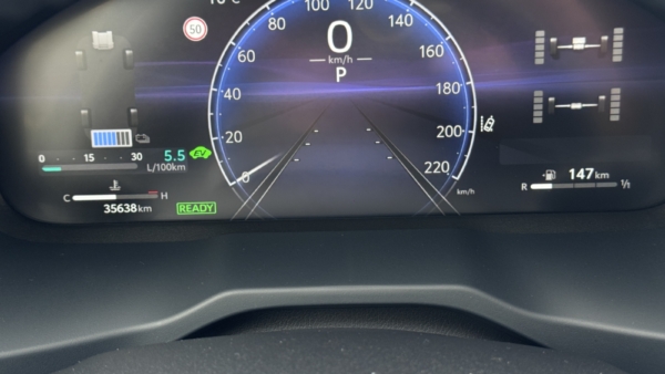 Toyota RAV4 2,5 Hybrid Luxury Limited AWD 2025 m. 12