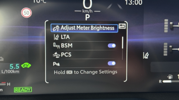 Toyota RAV4 2,5 Hybrid Luxury Limited AWD 2025 m. 13