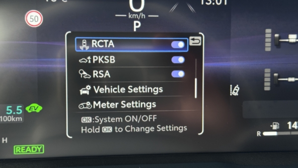 Toyota RAV4 2,5 Hybrid Luxury Limited AWD 2025 m. 14