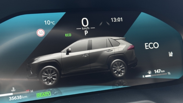 Toyota RAV4 2,5 Hybrid Luxury Limited AWD 2025 m. 15