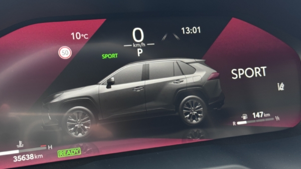 Toyota RAV4 2,5 Hybrid Luxury Limited AWD 2025 m. 16